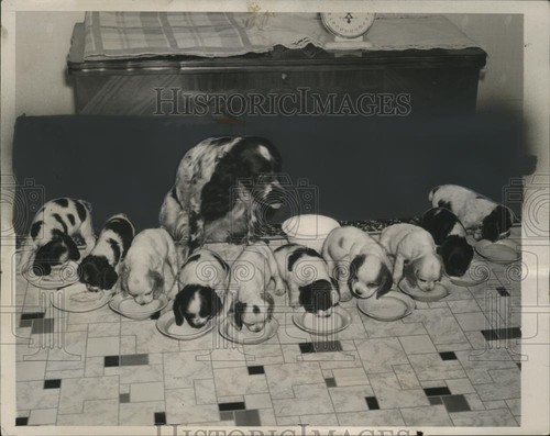 1940 press photo mary - 1940,