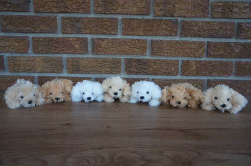 Plush lot set litter - brown, tan
